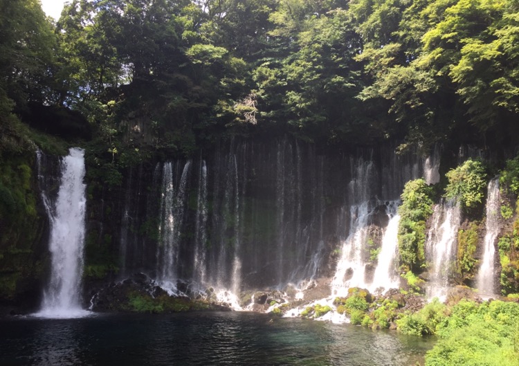 夏らしいこと