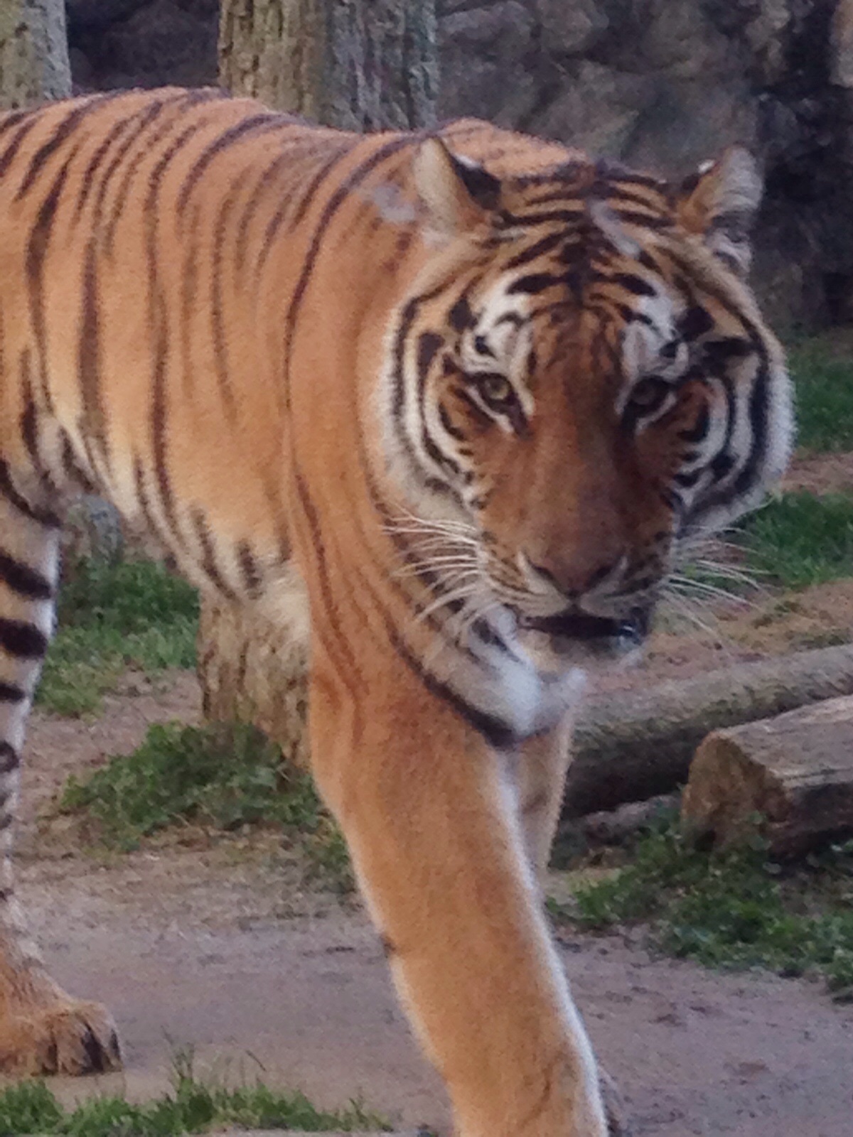 動物園♪