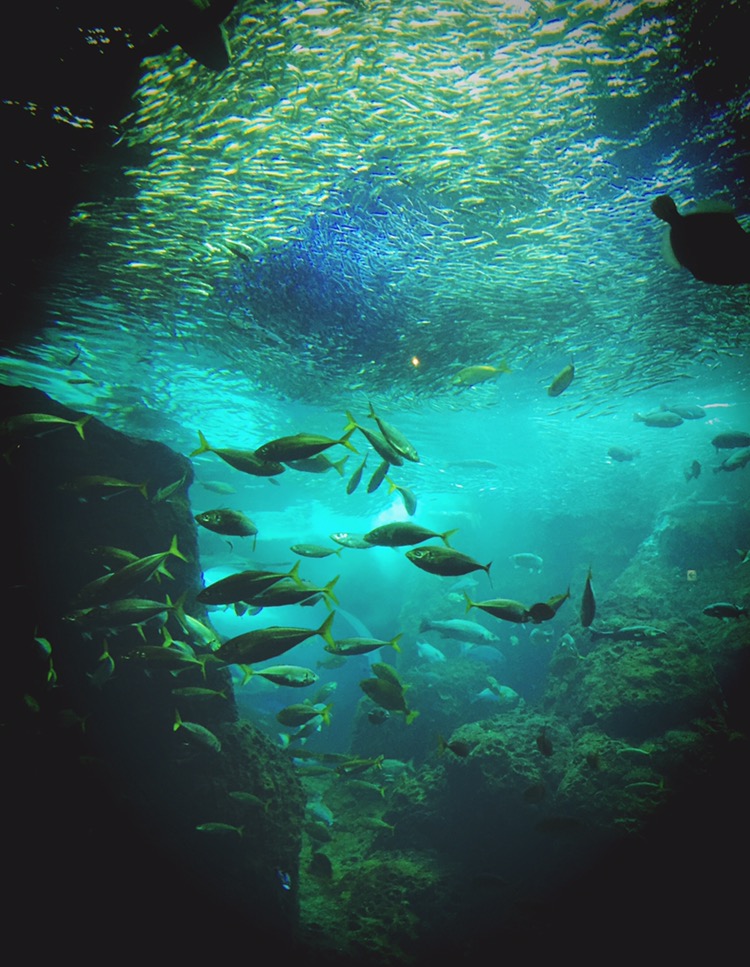 水族館