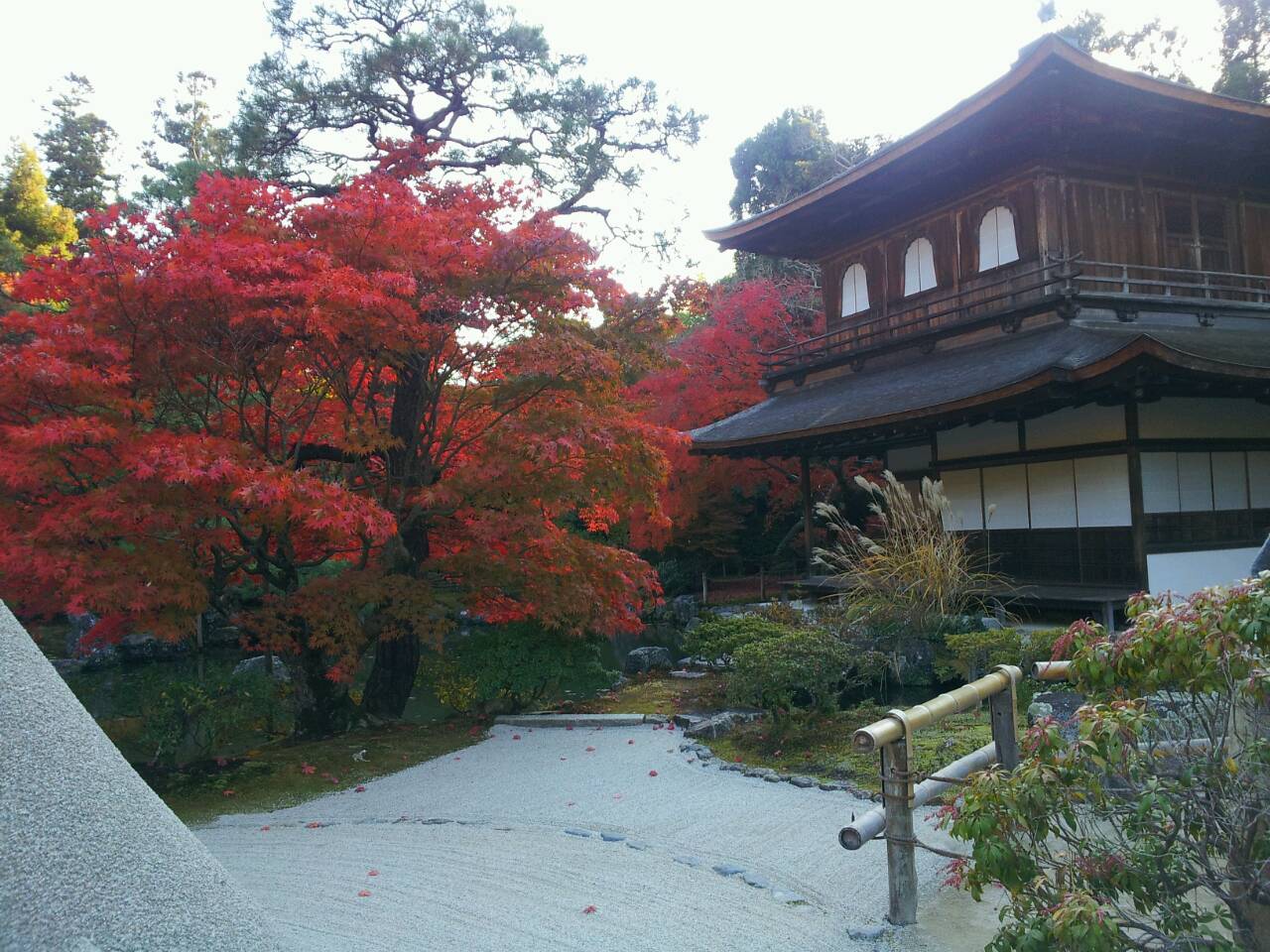 京都旅行(*｀･ω･´*)ゝ★