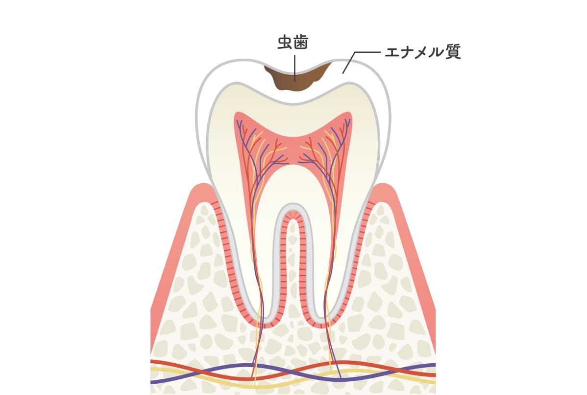 C1（中期）