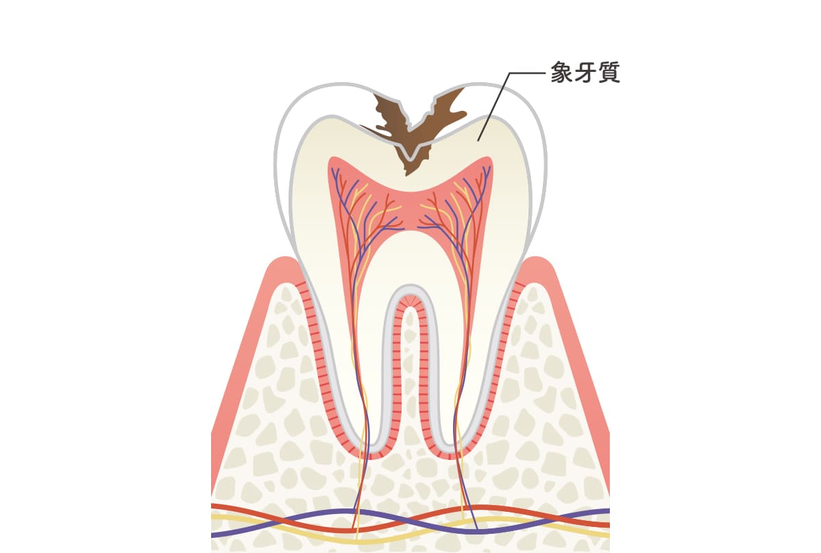 C2（後期-前半-）